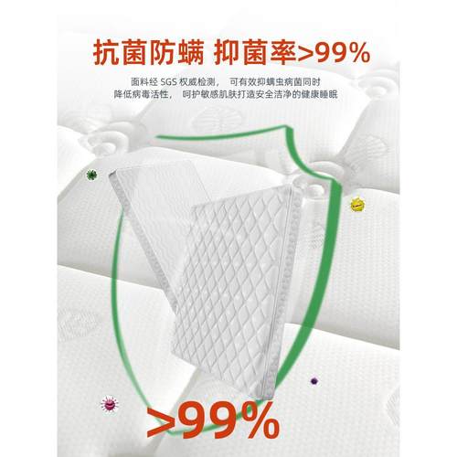 ZQ床垫硬垫薄款3e椰棕儿童家用环保棕榈垫1.5米1.8m护脊天然