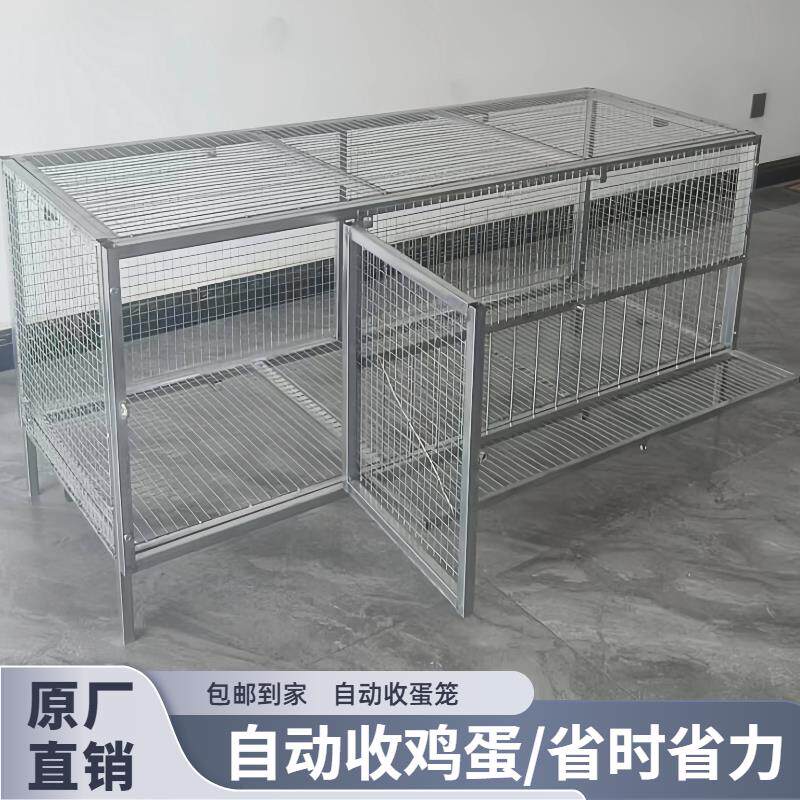 农村家用不锈钢鸡笼自动收蛋防黄鼠狼笼子室外防雨加厚防锈收蛋笼