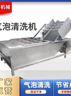 全自动李子清洗机大型李子清洗设备万顷隆牌
