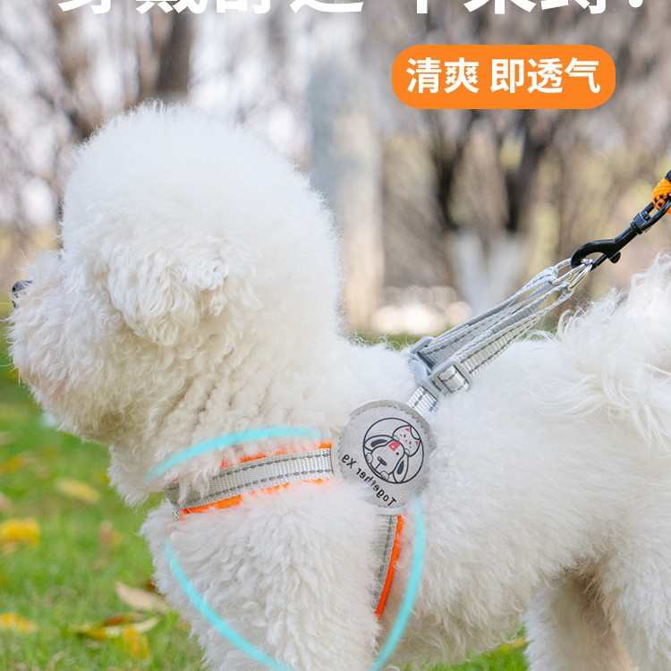 式基链比夏季绳宠物胸泰背带背心狗狗犬柯中小型牵引绳遛狗熊狗迪