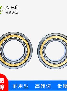 天马轴承短圆柱滚子轴承RN306M RN307M RN308M RN309M RN312M