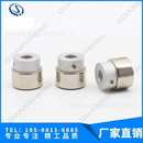 非接触磁力转动轮 磁力传动轮 工厂供货非标方案磁力轮 磁性齿轮