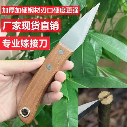 不锈钢嫁接刀专业嫁接工具加厚果树嫁接膜盆栽园林芽接刀具