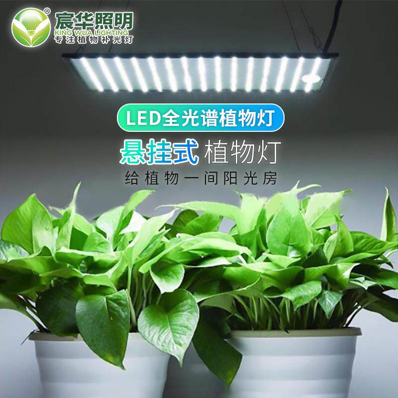 悬挂式LED植物生长灯大棚室内多肉花卉绿植蔬果500LED225LED薄款