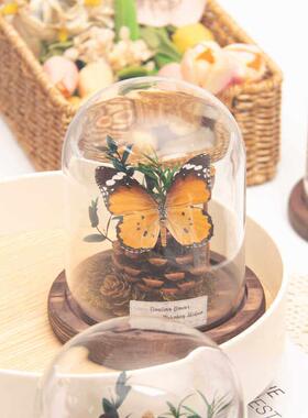 玻璃罩紫色立体真蝴蝶元素手工标本微景观摆件送女生日礼物高级感