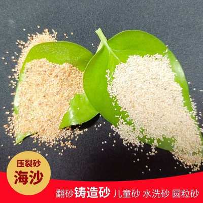 幼儿园儿童城堡沙池沙坑水洗海砂 圆粒无尘海沙造景沙疗压裂砂