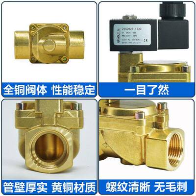 黄铜口大常径225系2列闭型膜片式先导MAGA-102电磁阀空气水用电磁
