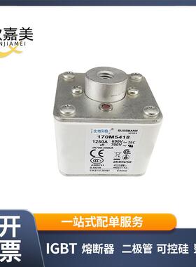 170M5418 170M5447 170M5448直流快速熔断器 电子元器件 库存充足