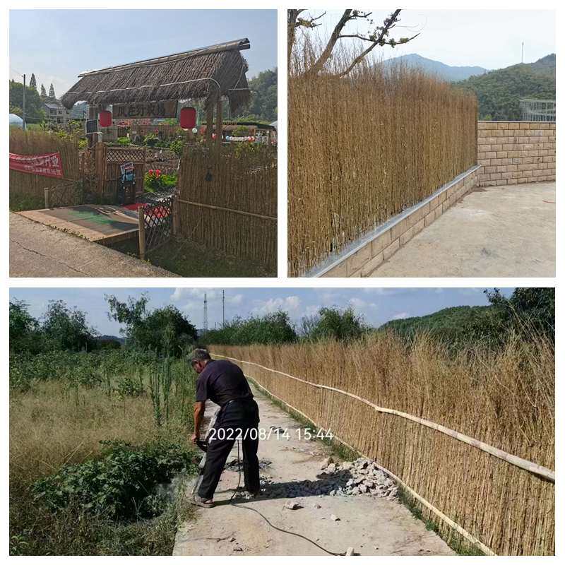 楠竹枝屋顶装饰细竹稍丝户外篱笆围墙农家民宿庭院栅栏竹枝条直销