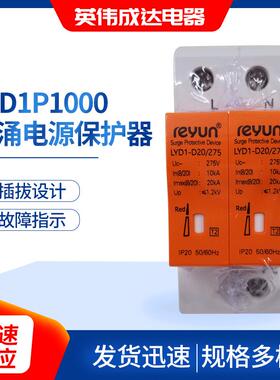 LYD1P1000浪涌电源保护器过次压保护器 2p 4p 40ka避雷器开关