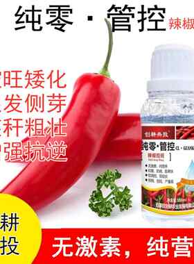 辣椒控旺素膨大剂增产控制旺长膨大素青椒菜椒甜椒朝天椒控旺药