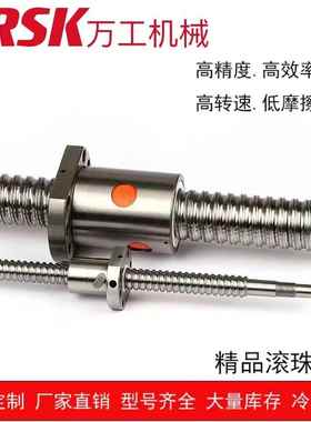 SFNI系列 高精密滚珠丝杠螺母 直线导轨滑块套装 型号齐全