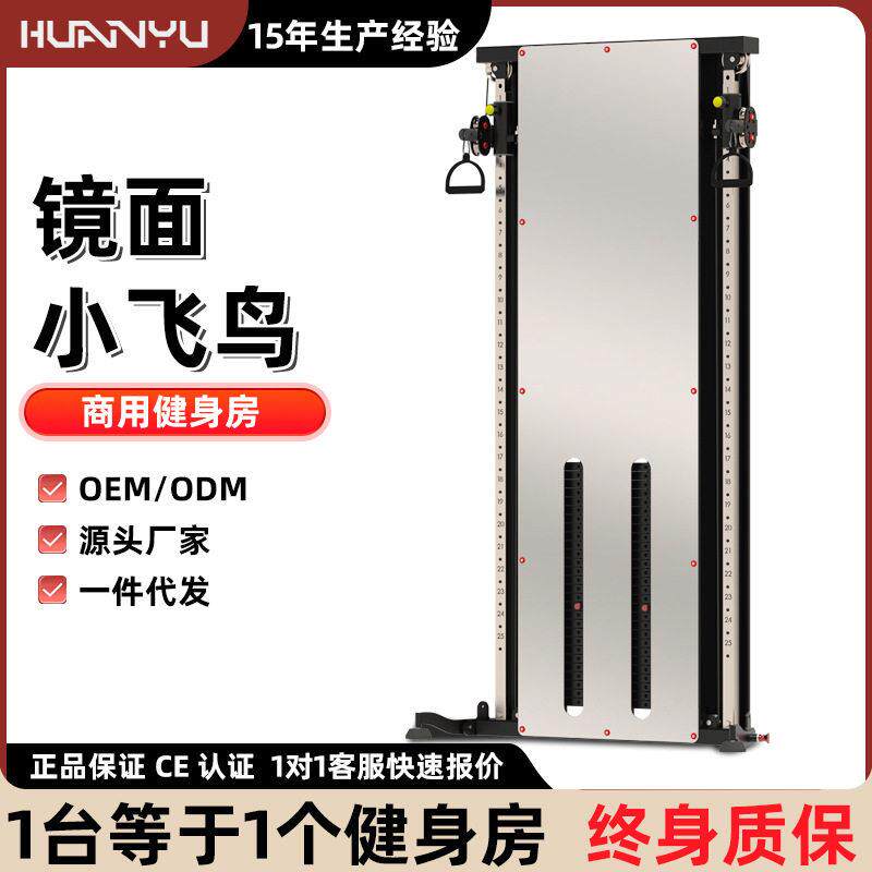 壁挂墙体镜面小飞鸟边贴墙飞鸟综合训练器镜面飞鸟家用商用器械