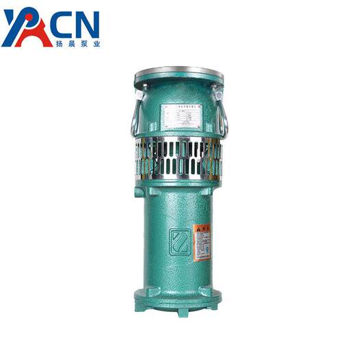 喷泉泵QYP65-7-2.2潜水泵QYP65-10-3喷泉专用潜水电泵景观园林泵