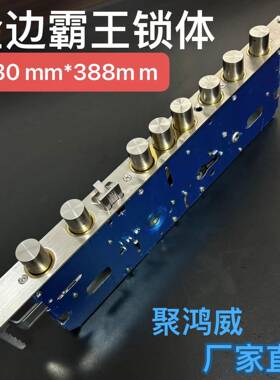 防盗门30388霸王全钢单活双活锁体九头圆柱锁体双快多功能智能锁