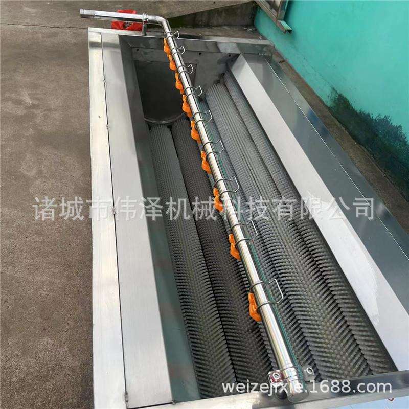 土豆去芽清洗机扇贝去泥机连续式平行毛辊清洗设备诸城伟泽厂家