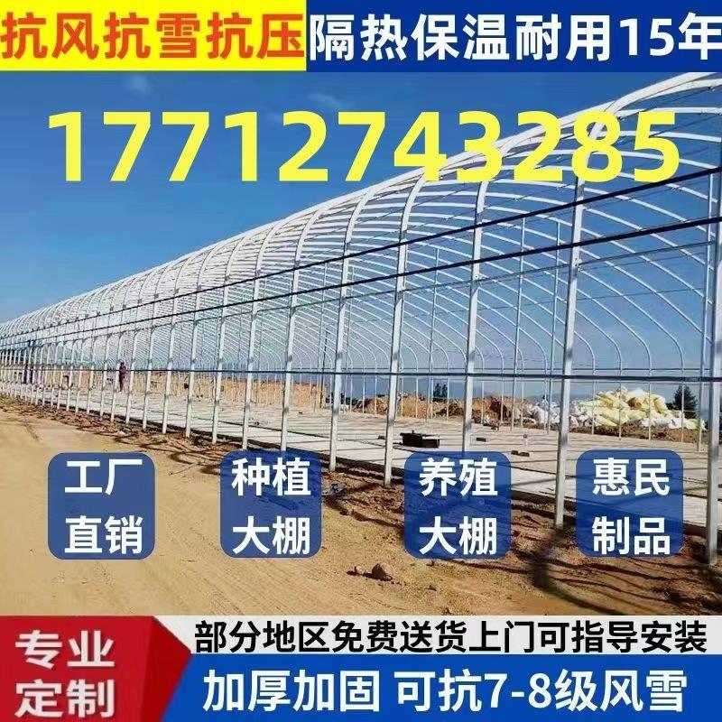 温室大棚养殖全套养鸡鸭鹅保温棚子骨架椭圆管支架热镀锌钢管架