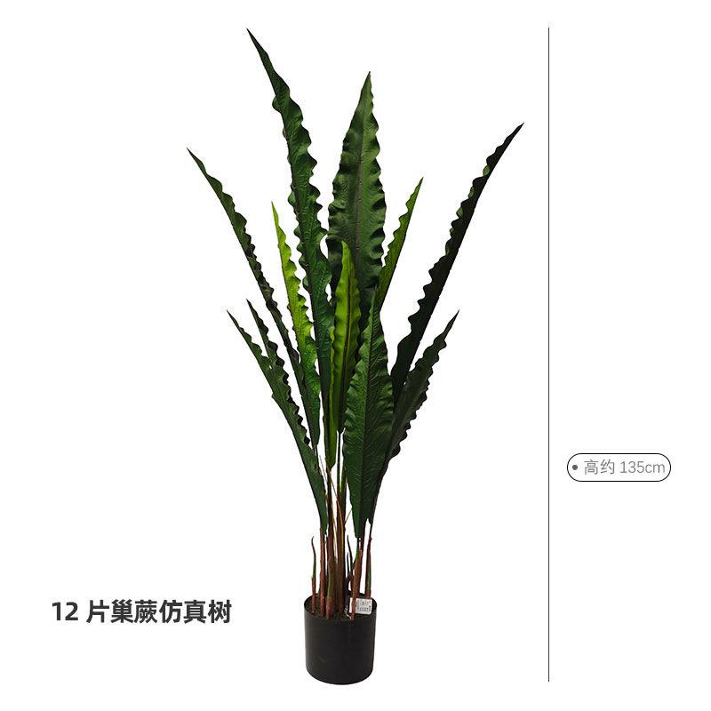 北欧绿植客厅落地龟背竹植物盆栽家居龟背叶装饰仿真热带植物巢蕨