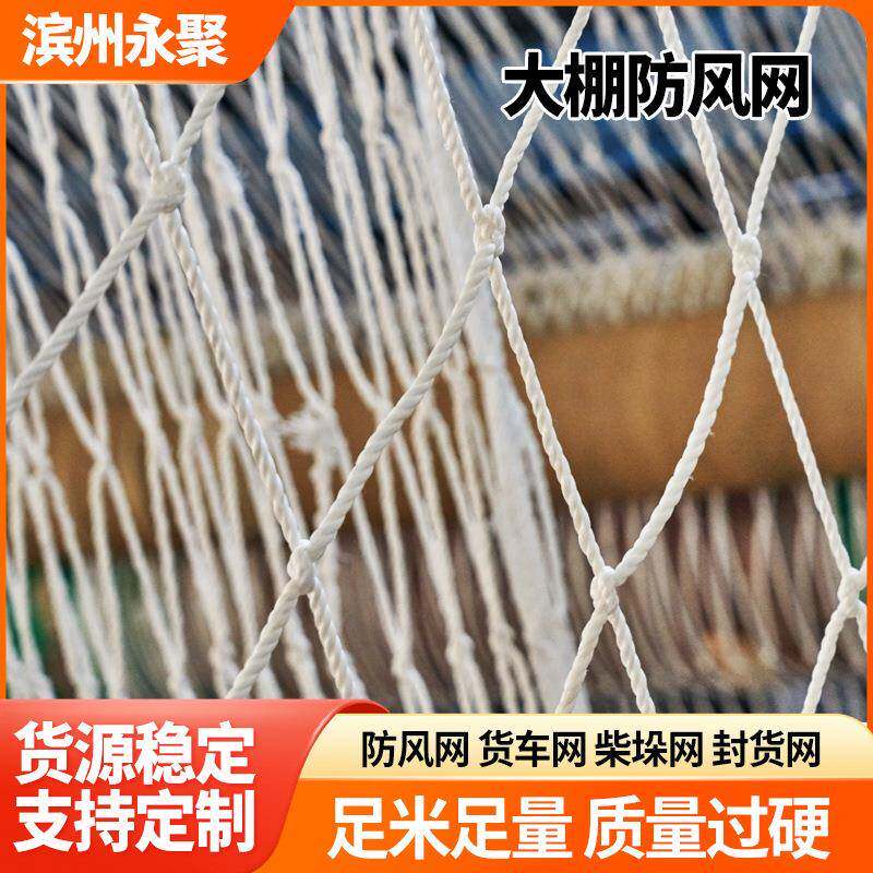 大棚防风网农业种植防护挡风网大棚防护压膜网盖垛网尼龙防护网