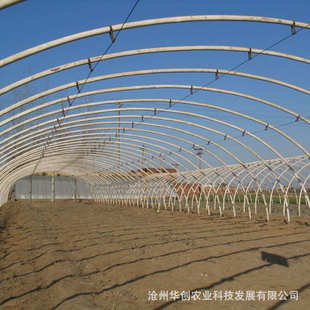 种植养殖大棚钢骨架钢构葡萄 大棚骨架镀锌材质