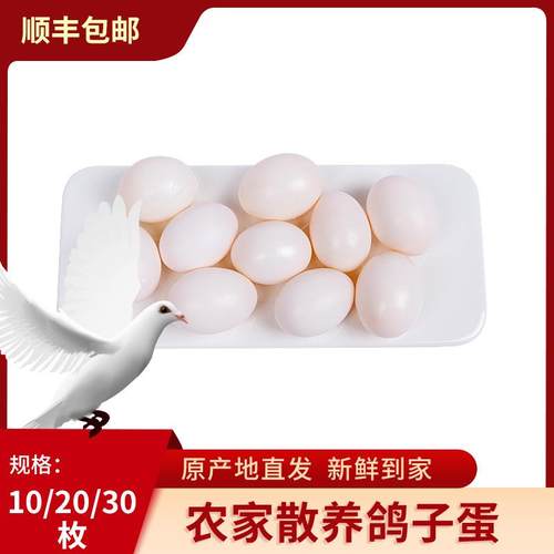 河南农家散养鸽子蛋 30枚营养五谷新鲜鸽蛋宝宝辅食蛋非鸡蛋