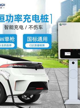 快充新能源运营电动汽车国标通用30kw恒功率直流充电桩大汽特来电