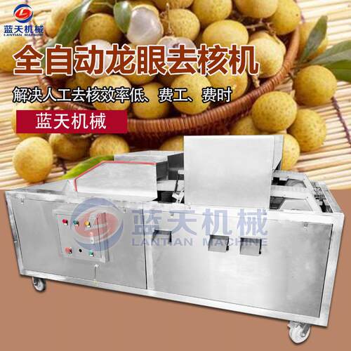 桂圆去核机器 全自动龙眼去核机 电动商用鲜荔枝去核设备生产厂家