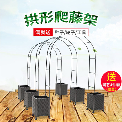 家用葡萄架子庭院户外花架爬藤支架拱门支撑架月季黄瓜花盆种植箱