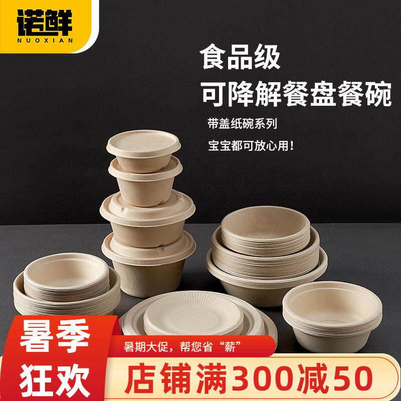 一次性盘子纸盘纸碗家用商用菜盘加厚手工碗筷幼儿园画画烧烤聚会