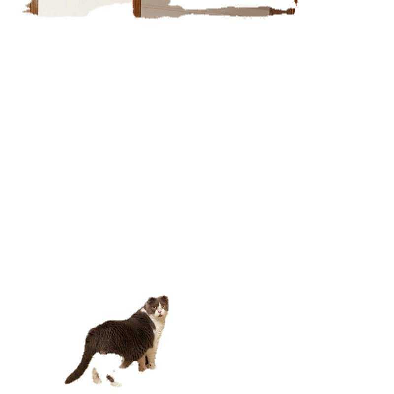 栅栏门免打孔宠物围栏栏挡拦防隔离猫咪栏杆狗狗护栏挡板室内笼子,宠物/宠物食品及用品,狗笼子,淘宝优惠券,粉丝福利购,淘宝优惠卷