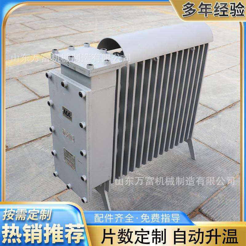 矿用隔爆兼增安型电热取暖器RB2000/127A建筑施工密闭式电热油汀