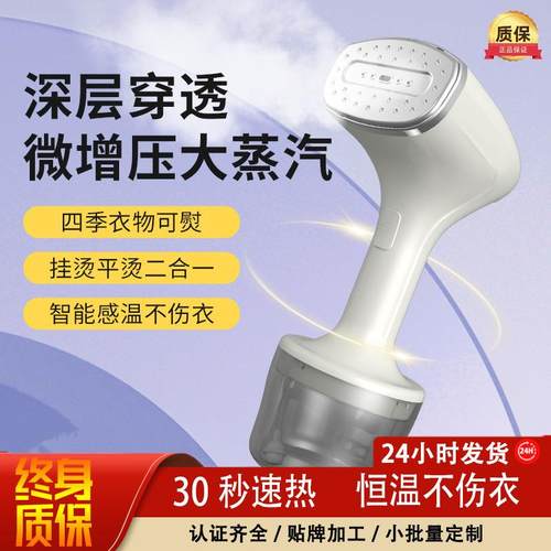 新跨境手持挂烫机熨烫机家用小型电熨斗蒸汽挂烫机平烫挂烫一体机
