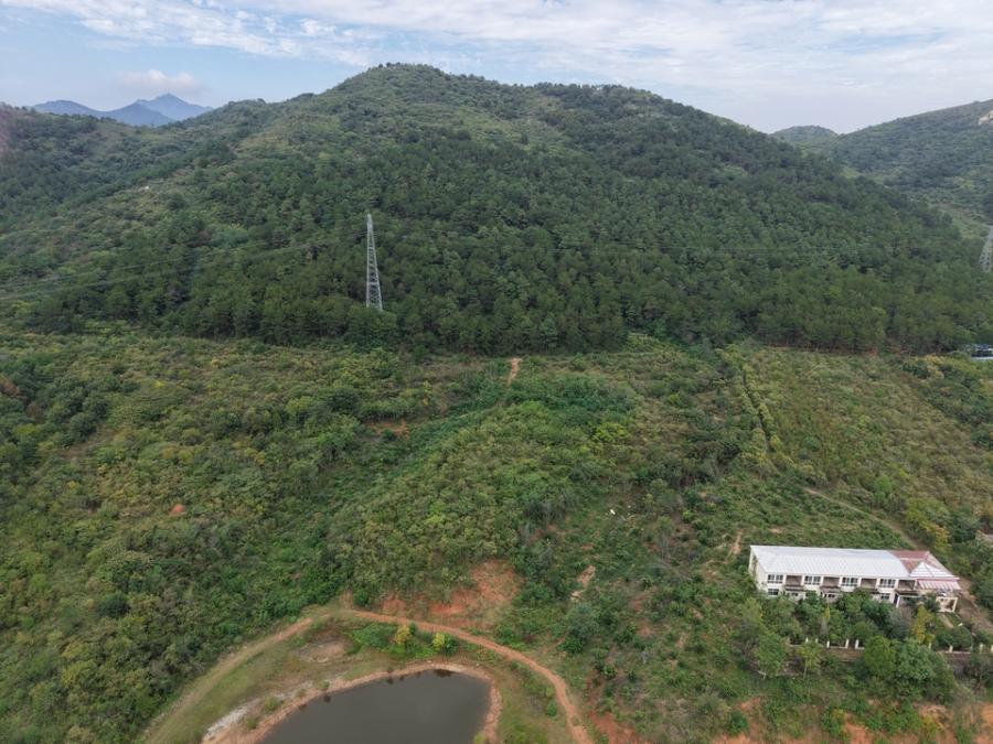 （破）河南恒盈懿丰农牧有限公司名下实物资产和无形资产