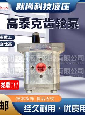 高泰克Galtech齿轮马达3GM-G-230-D-EUR-H-N-10-0-G液压泵 齿轮泵