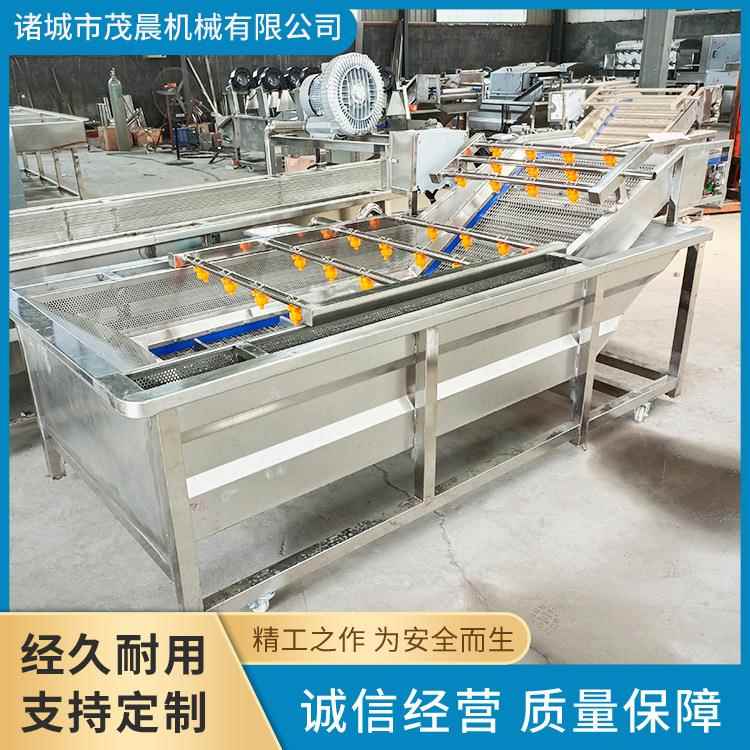 不锈钢自动水果气泡清洗机柑桔喷淋鼓泡洗果设备橙子成套加工线