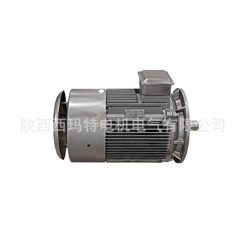 西安 0西玛564电机ZH08-D10 1KW 220V MB3 H级事故油泵I用直流电