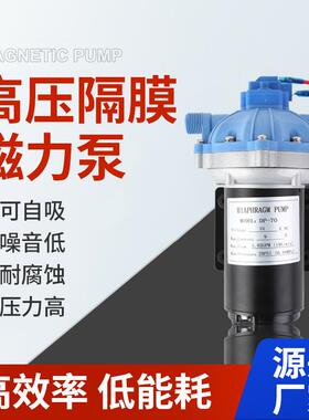 现货电动隔膜泵DP-70-24V直流增压泵循环冷却泵扫地车喷水泵