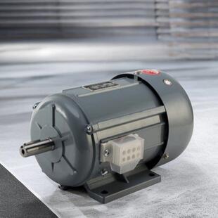 上海德东电机厂YSB三相异步马达