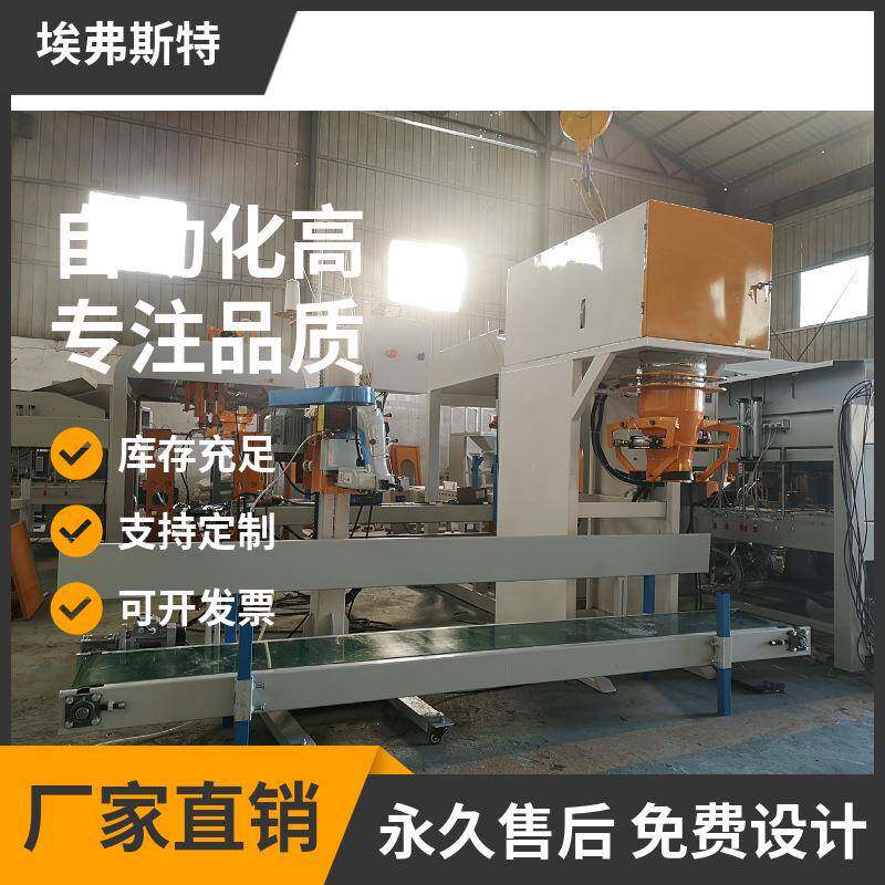 大容量型煤装袋包装机高进度煤块包装秤兰煤定量包装机