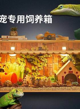 非洲白玉蜗牛带牛蛙土拨鼠饲养箱宠物蛇别墅小鸡陆地变色龙锹形虫