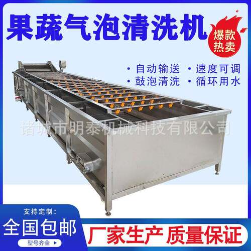 桑葚桑叶果蔬气泡清洗机火龙果柚子全自动洗果机酸豆角清洗设备