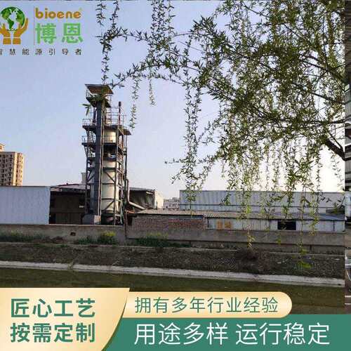 厂家供应生物质气化炉中低温生物质烘干供热无氧工业焚烧炉设备