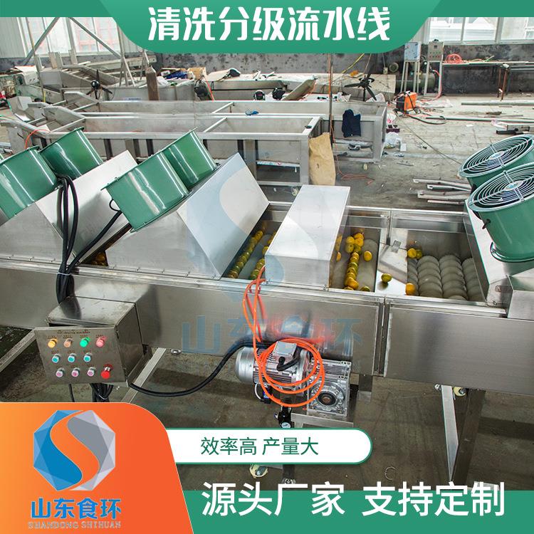 水果动清蜡洗打烘干分级EYV流水线红薯分级机大枣自重分称选机设