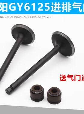 光阳GY6进气门油封 豪迈125缸头气门维修套件