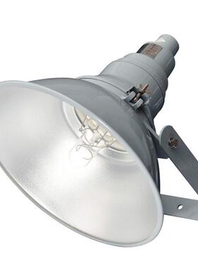GT102行车防震投光灯GT102-J250W400W船舶码头塔吊灯三防金卤灯