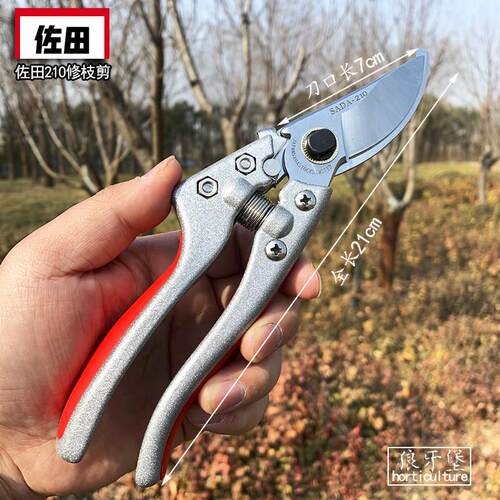 正品佐田SADA210修枝剪花枝剪粗枝剪刀果树剪园艺修剪刀剪树枝剪
