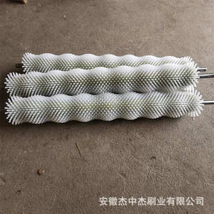 水果尼龙鸡鸭清滚蛋毛刷鹅蛋蛋机毛蔬菜辊刷滚清除尘清洗刷辊机