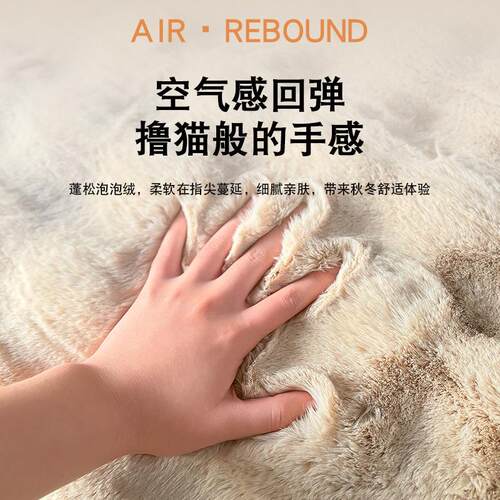 奶油风卧室床边毛绒毯客厅毛绒地毯泡泡绒地垫飘窗垫沙发毛毯阳台