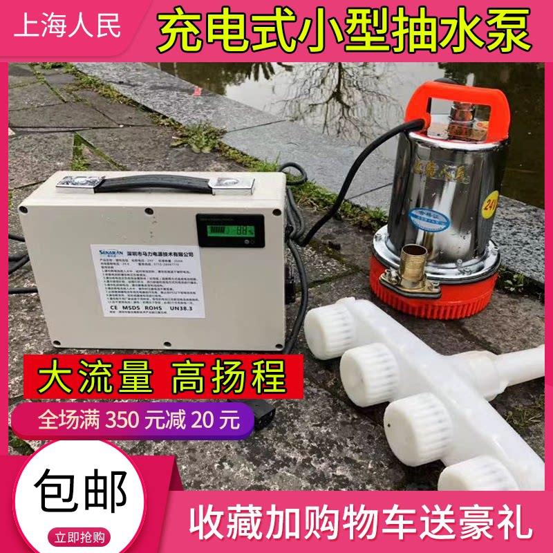 充电抽水泵电瓶电动车水泵直流潜水泵12V24V48伏微小型抽水泵农用