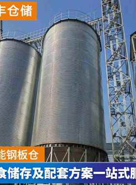 1000吨小麦玉米粮食存储设备 装配式平底锥底钢板仓